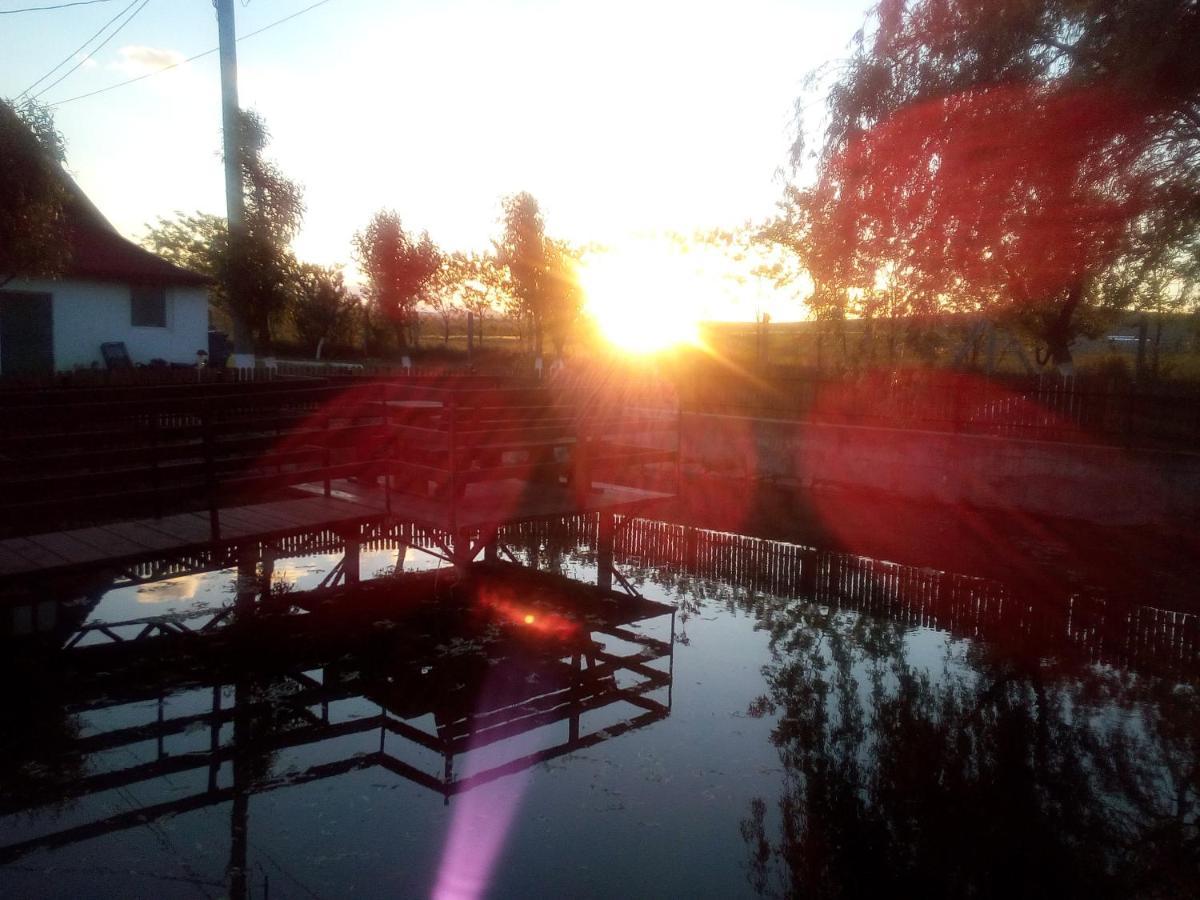 Pensiunea ,,La Struti" Târgu Neamț Exteriör bild