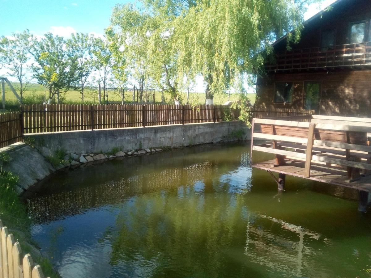 Pensiunea ,,La Struti" Târgu Neamț Exteriör bild